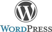 wordpress 3.1.1.