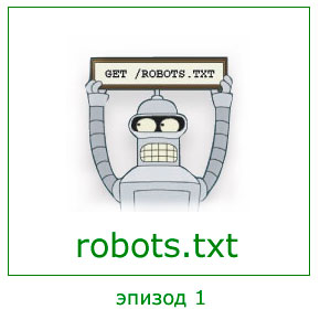 robots txt