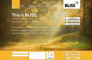 BLISS-Manchester-Website-design-mobile-development